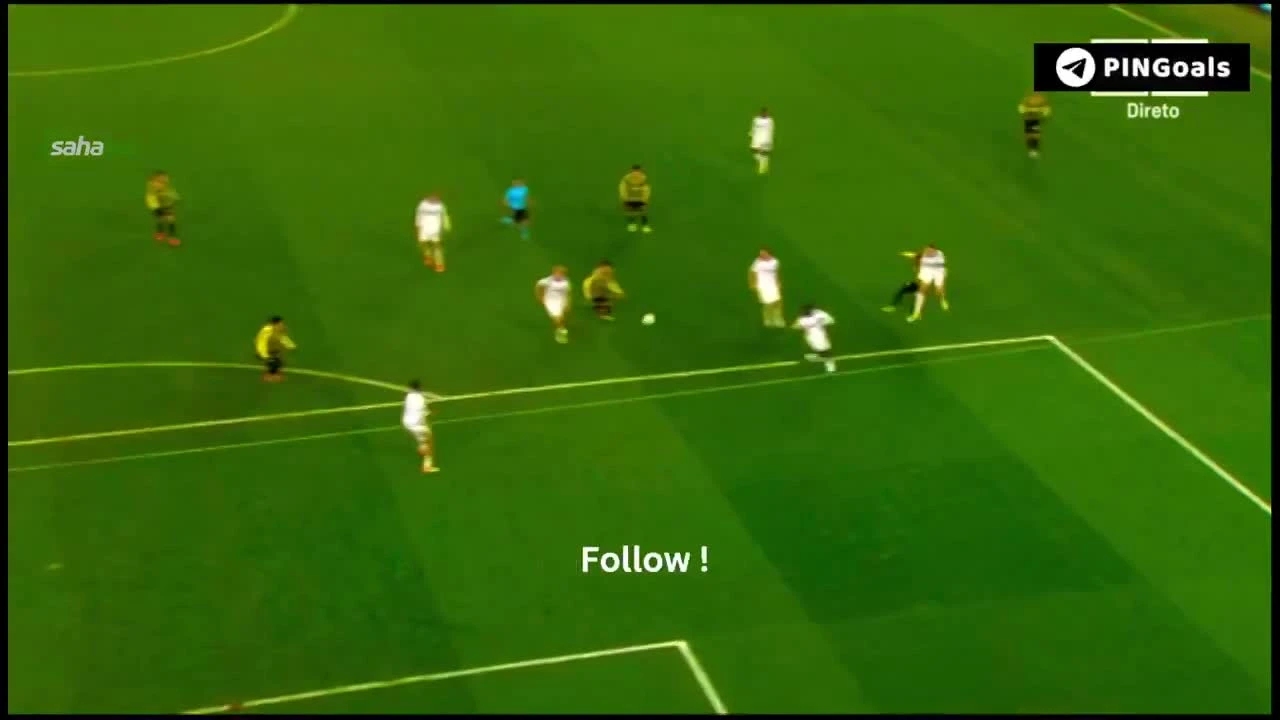 zaslepka skrotu video