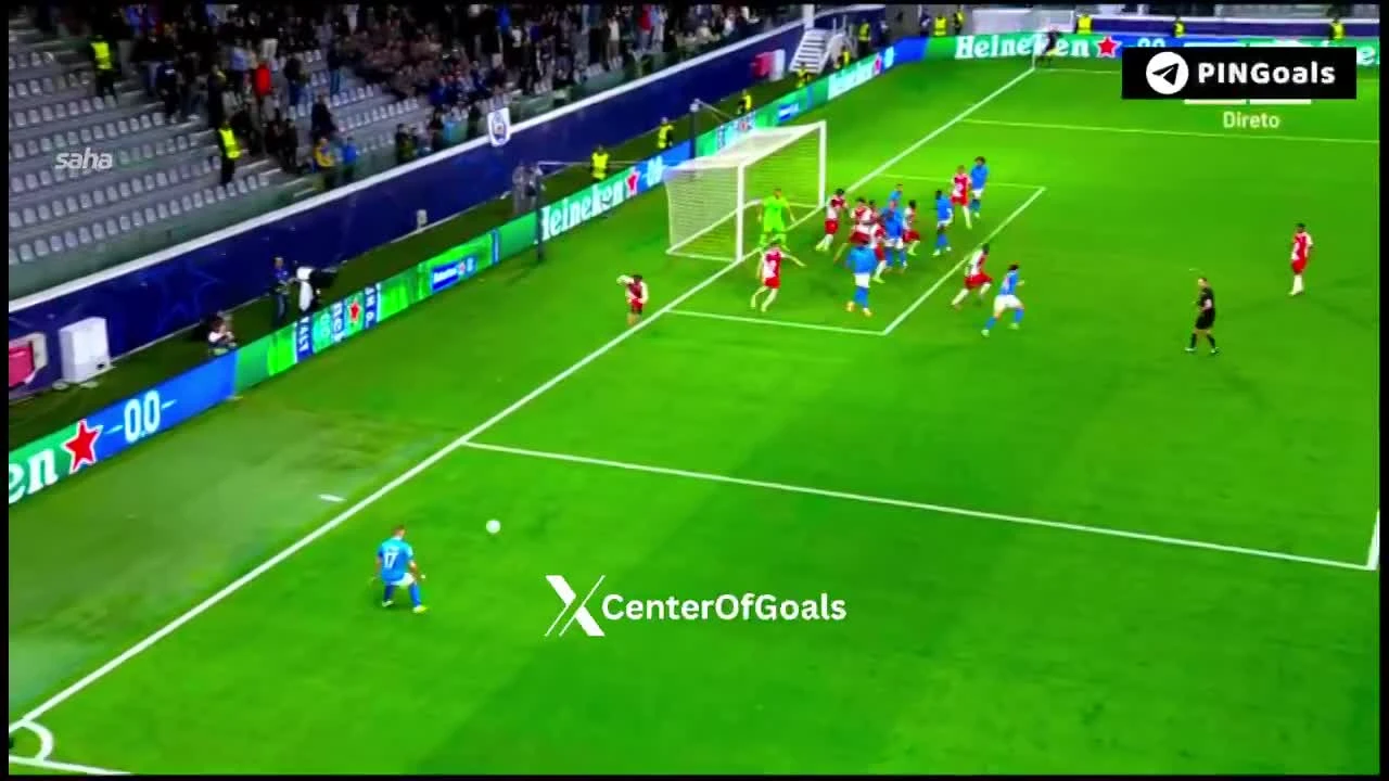 zaslepka skrotu video