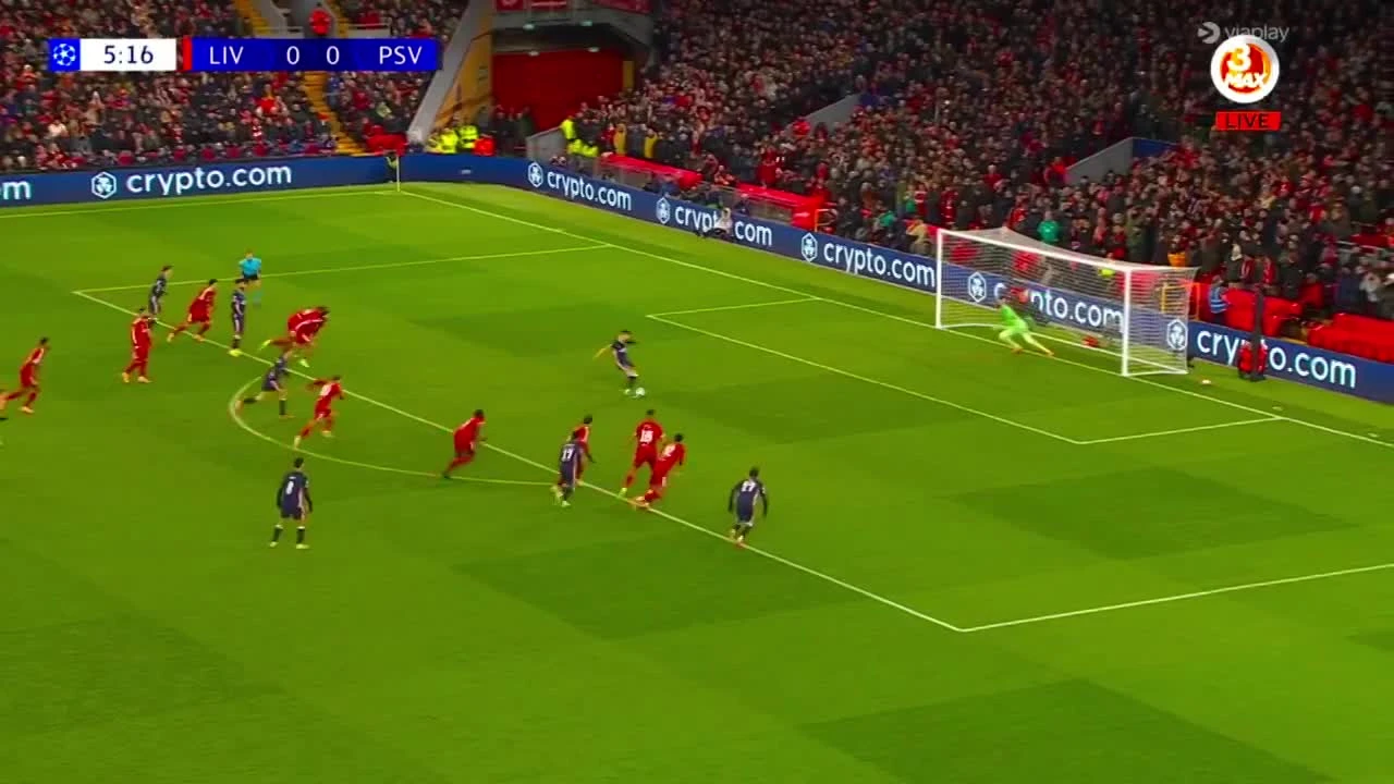 zaslepka skrotu video