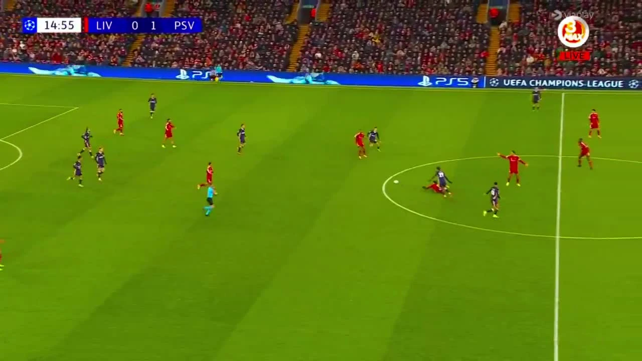 zaslepka skrotu video