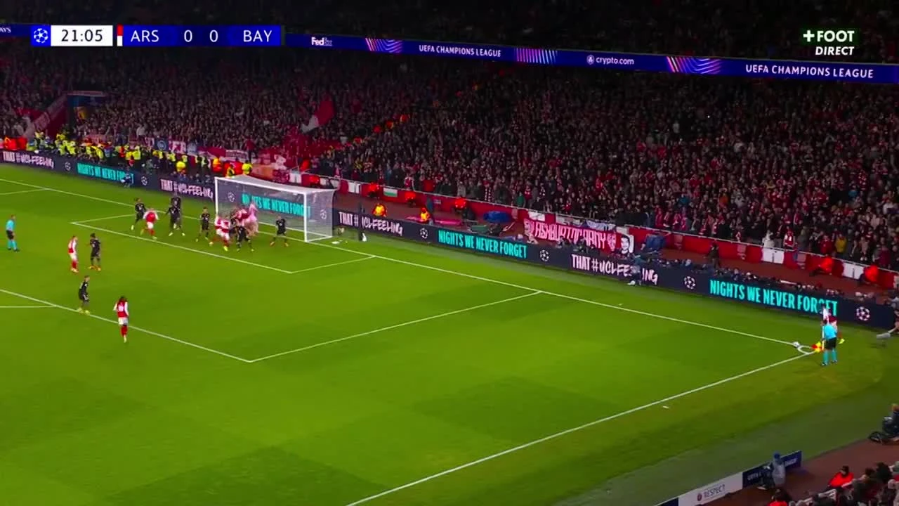 zaslepka skrotu video