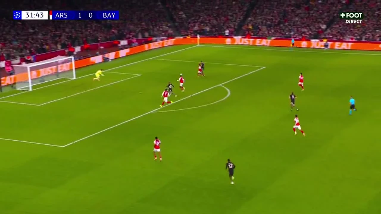 zaslepka skrotu video