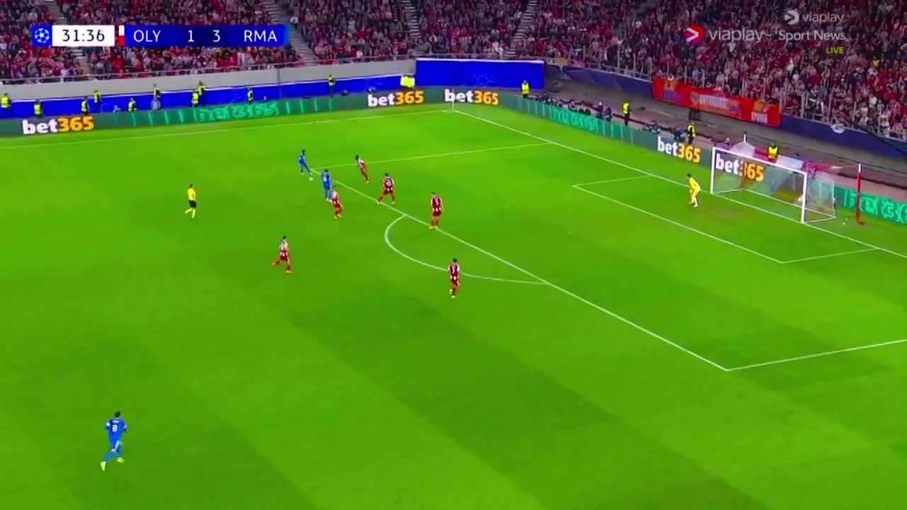 zaslepka skrotu video