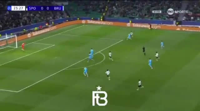 zaslepka skrotu video