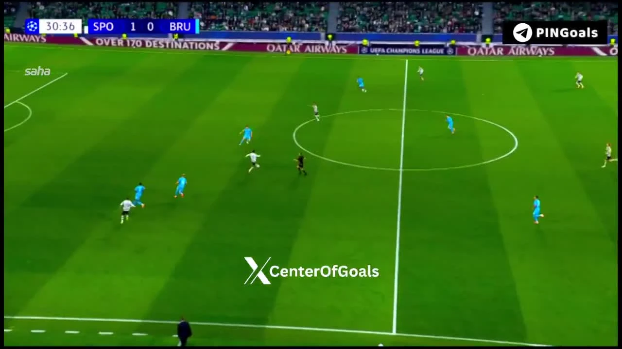 zaslepka skrotu video