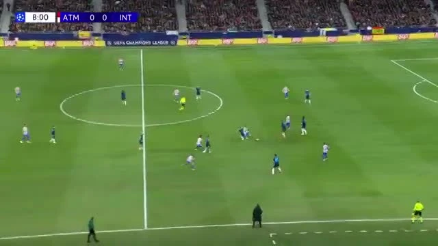 zaslepka skrotu video