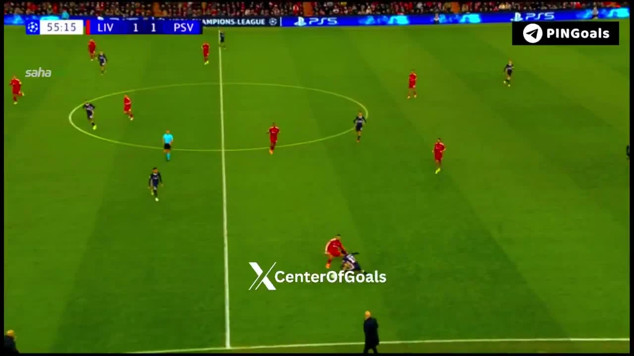 zaslepka skrotu video