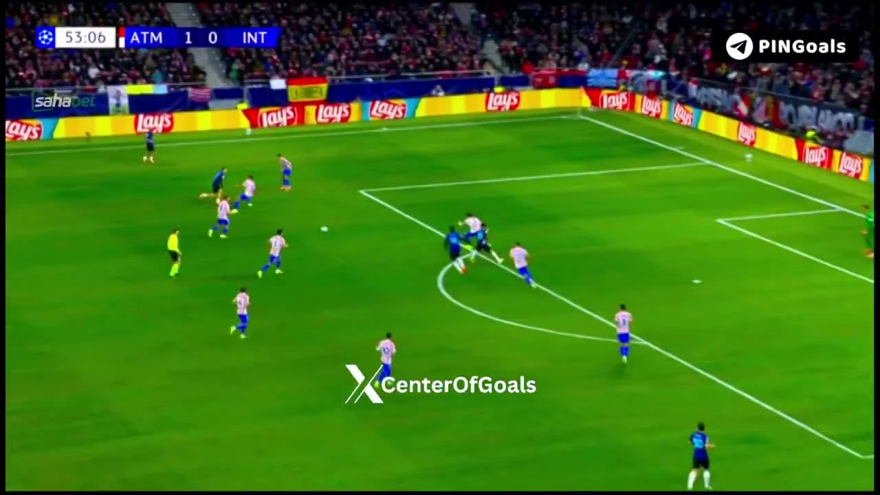 zaslepka skrotu video