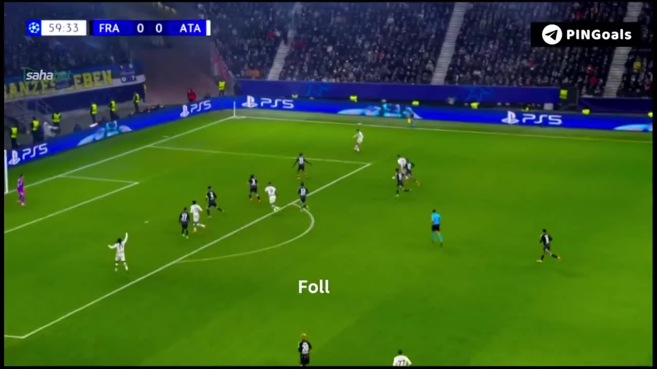 zaslepka skrotu video