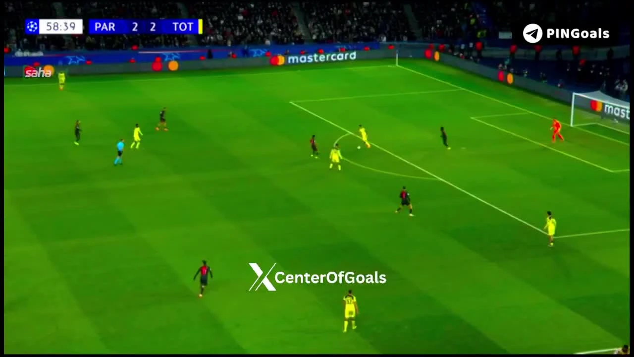 zaslepka skrotu video