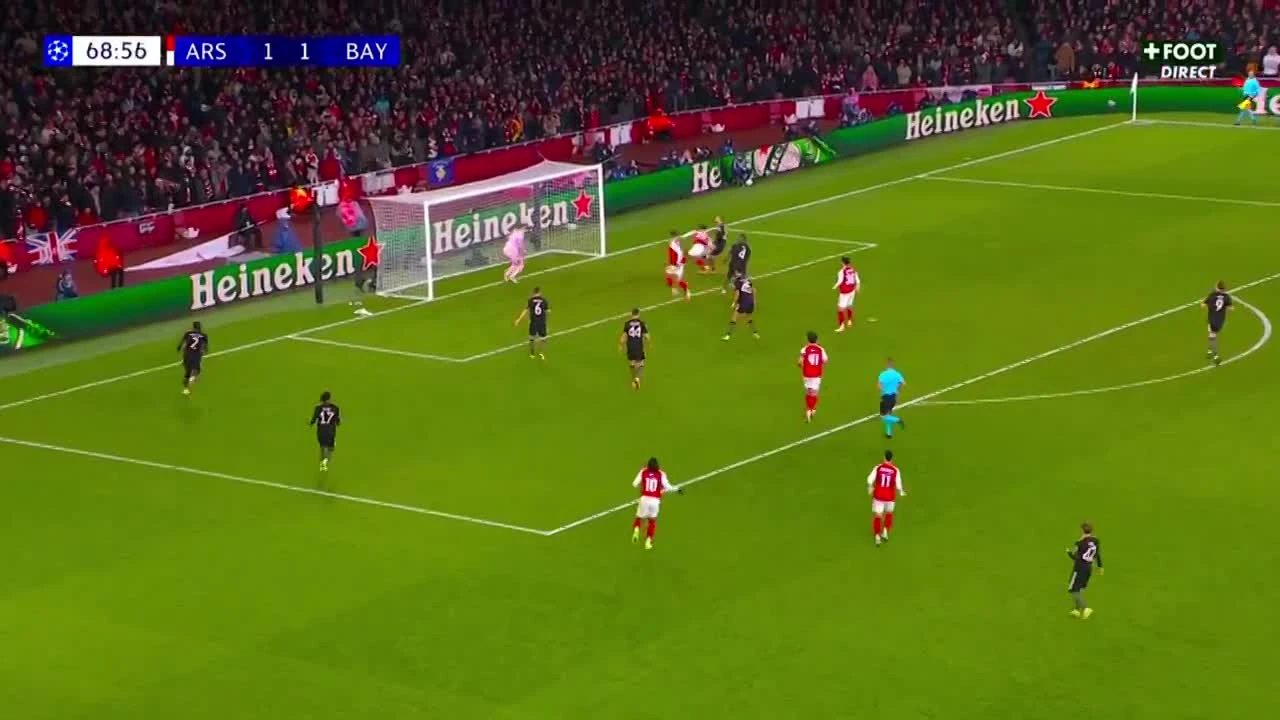 zaslepka skrotu video