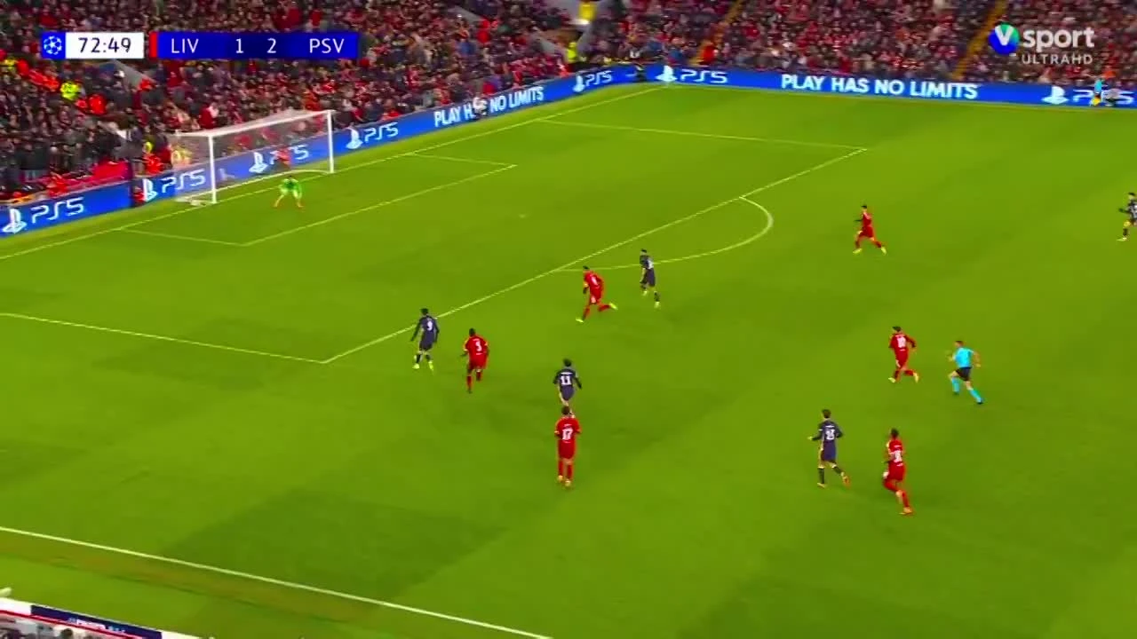 zaslepka skrotu video