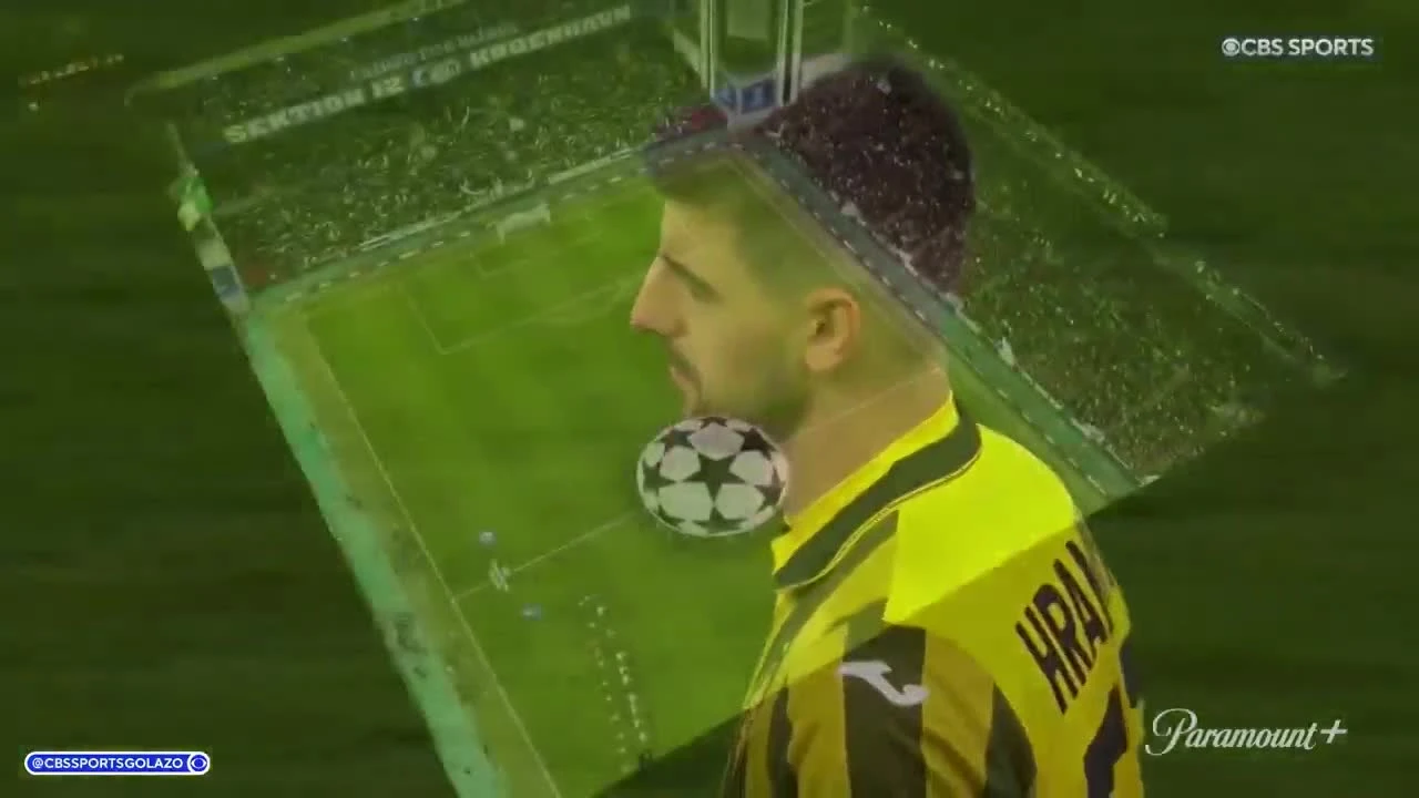 zaslepka skrotu video