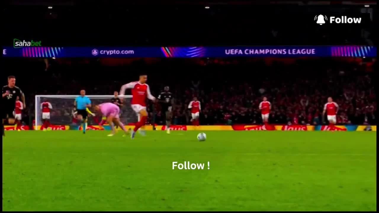 zaslepka skrotu video