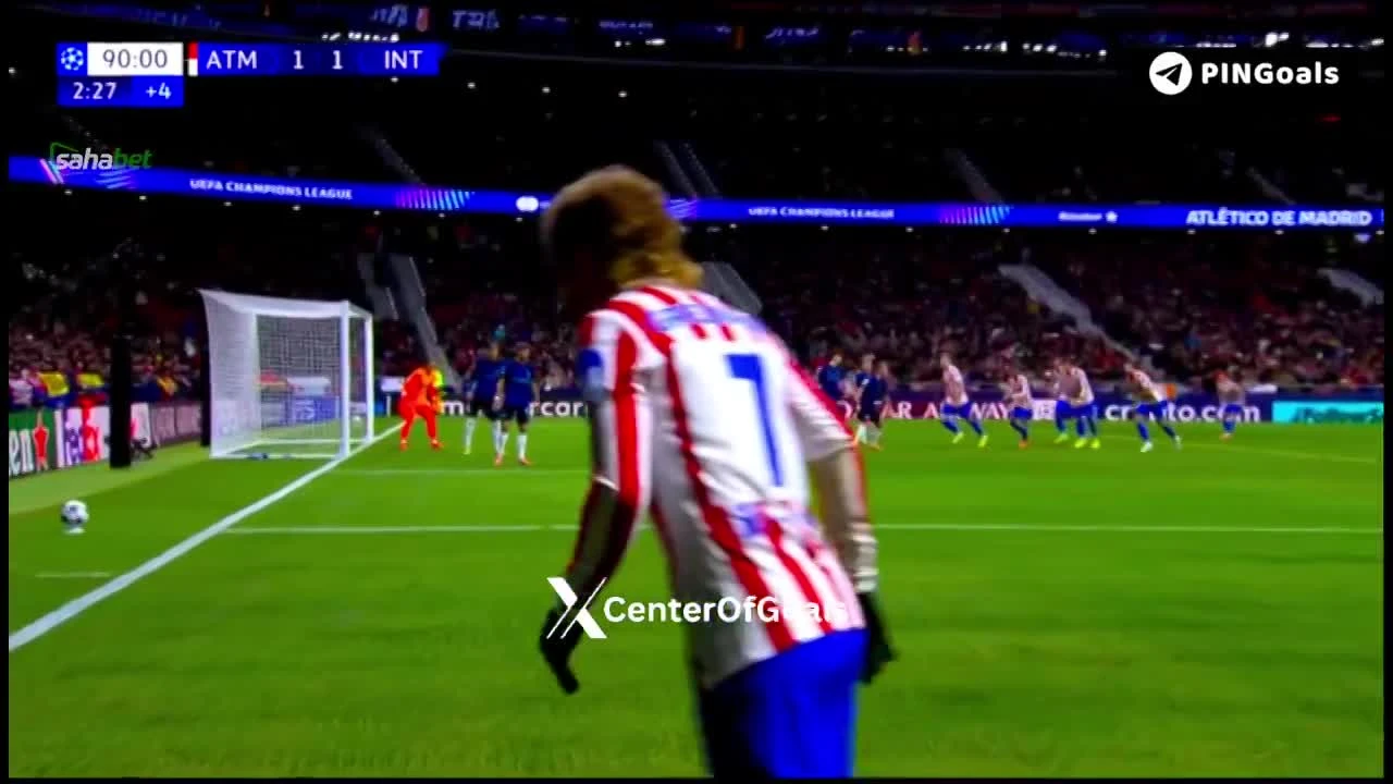 zaslepka skrotu video