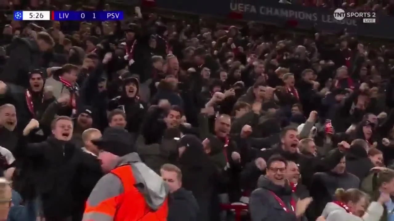 zaslepka skrotu video