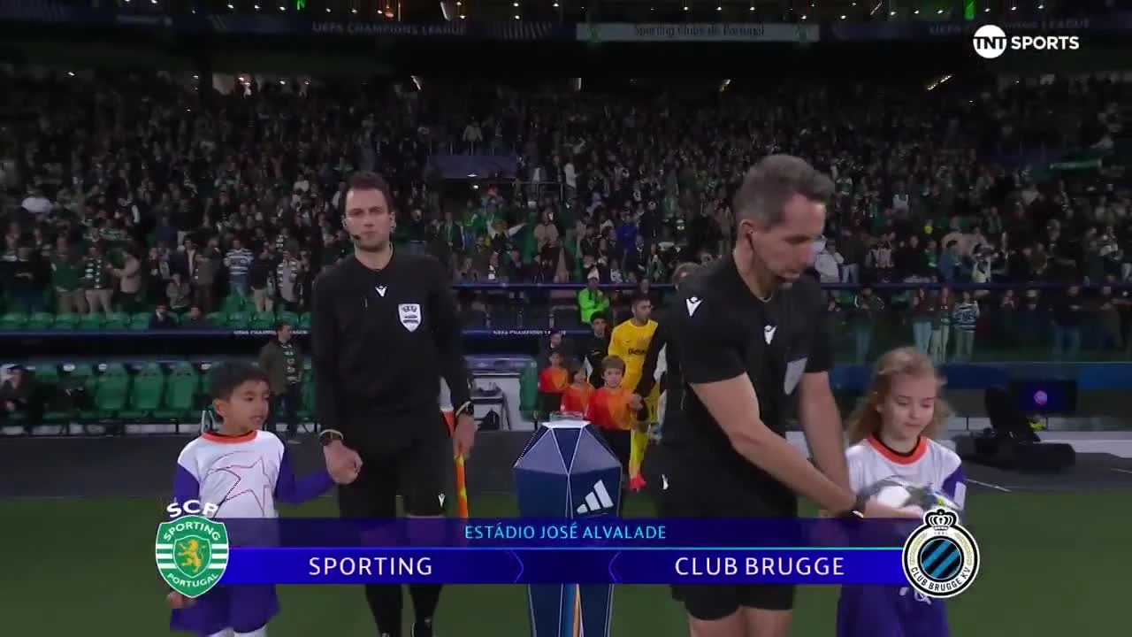 zaslepka skrotu video