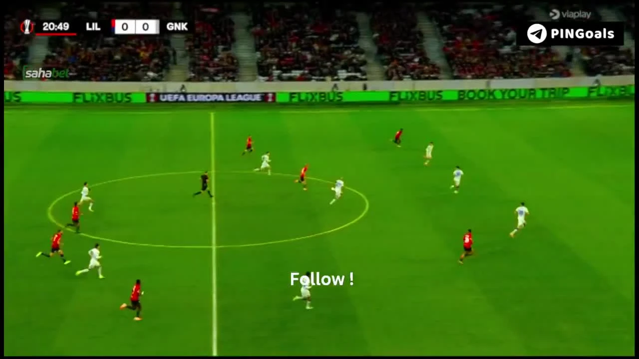 zaslepka skrotu video