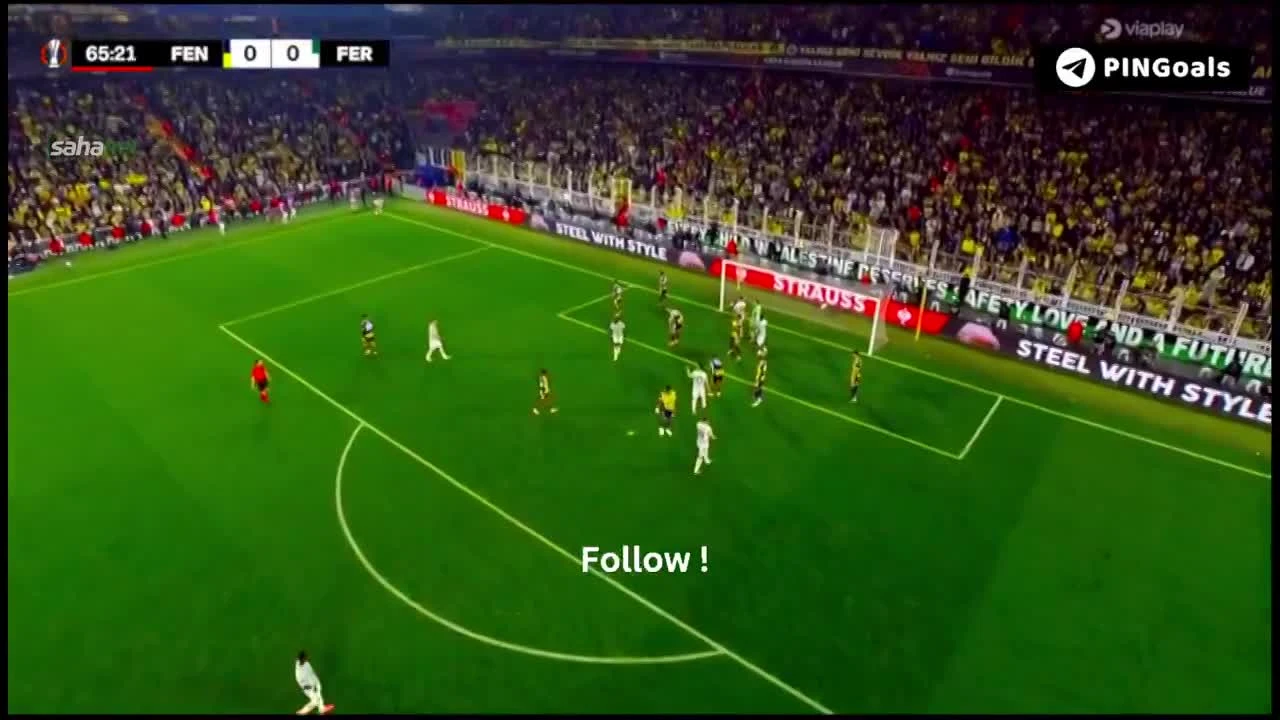 zaslepka skrotu video