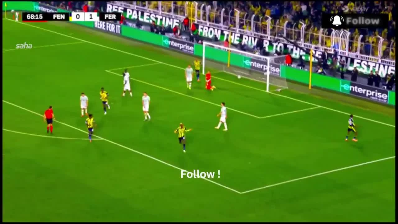 zaslepka skrotu video