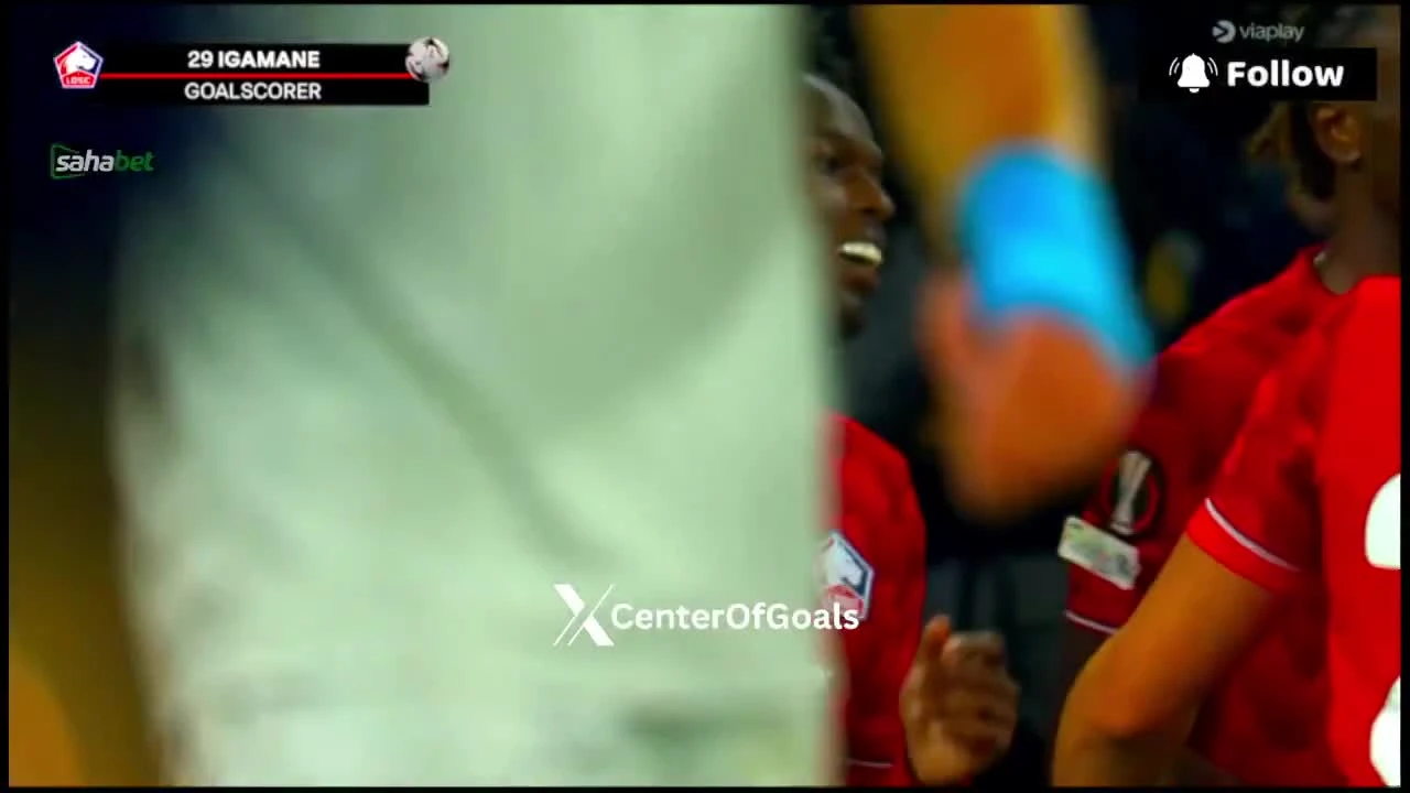 zaslepka skrotu video