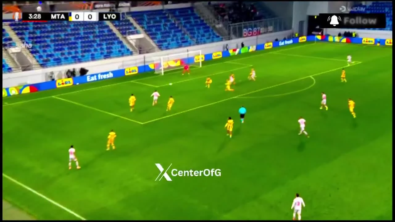 zaslepka skrotu video