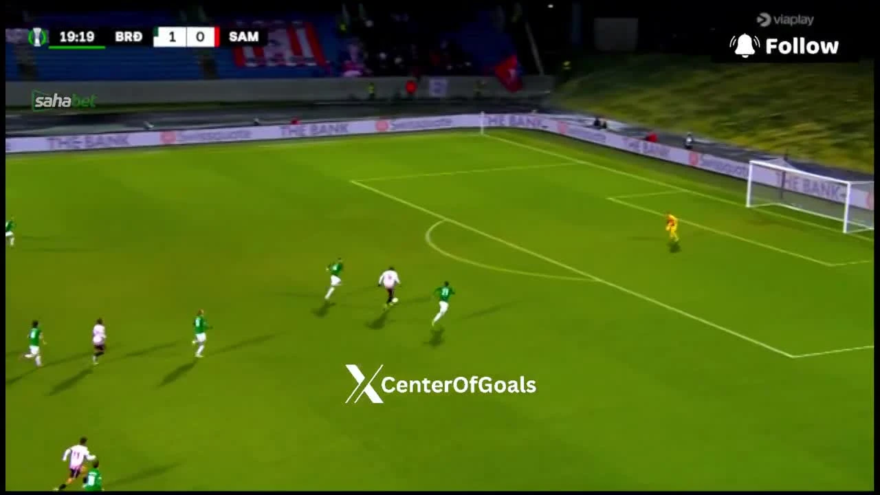 zaslepka skrotu video