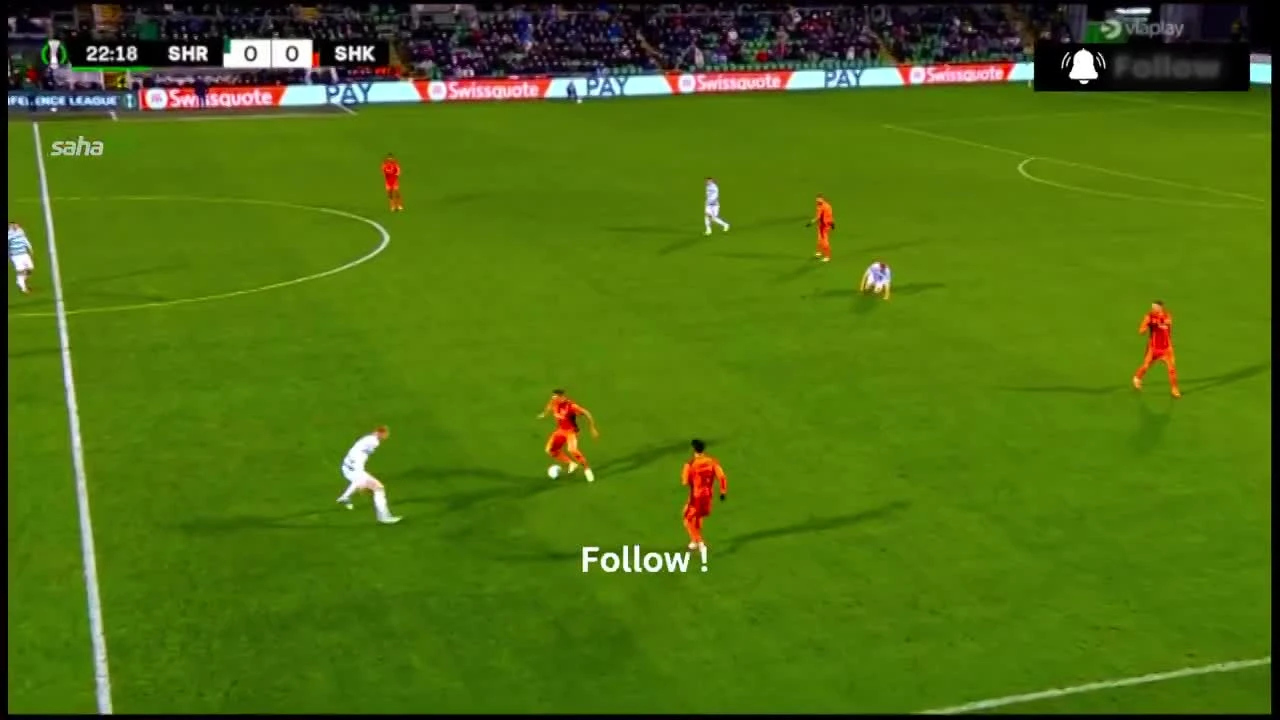 zaslepka skrotu video