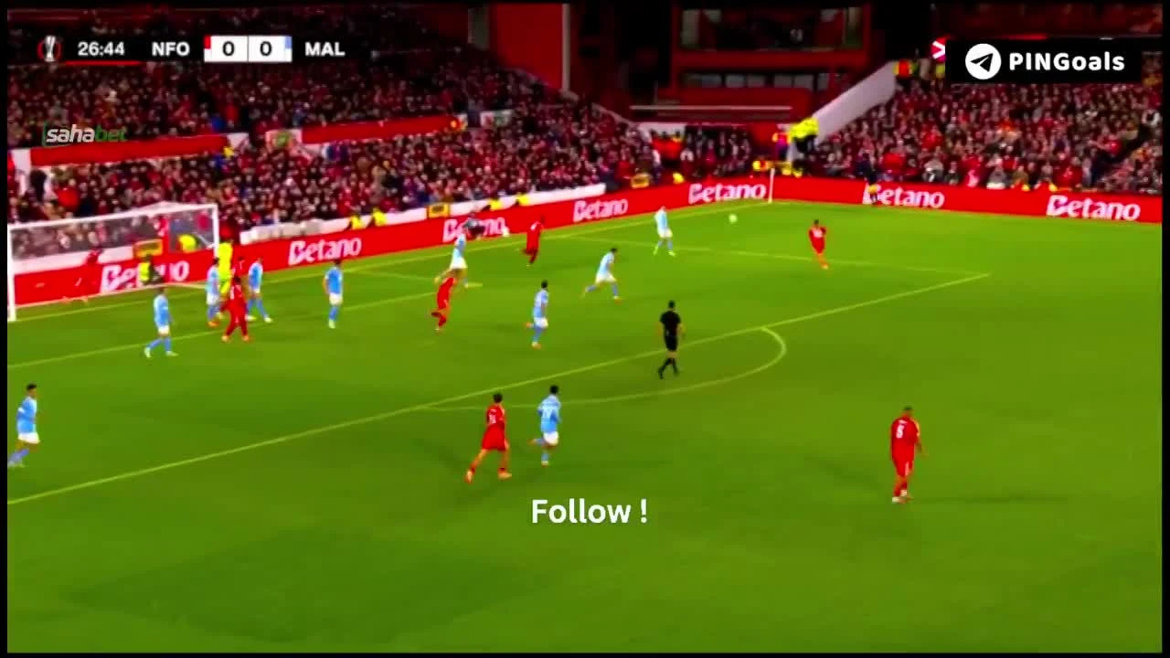 zaslepka skrotu video