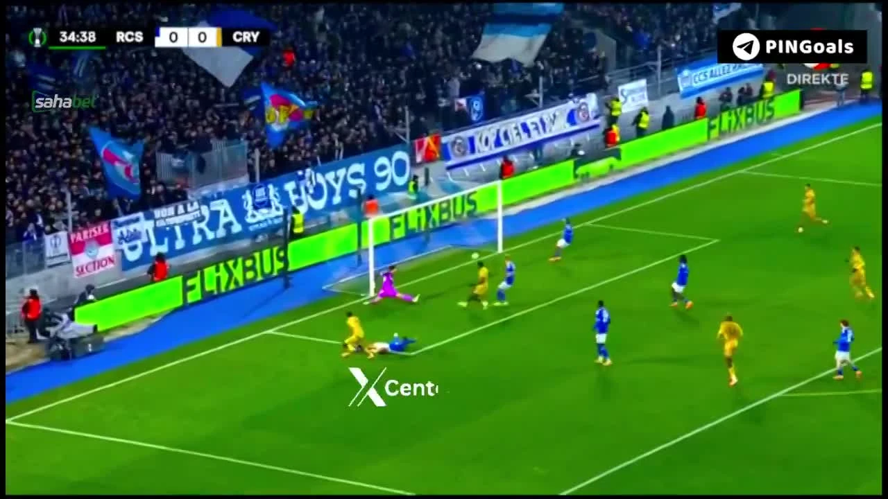 zaslepka skrotu video