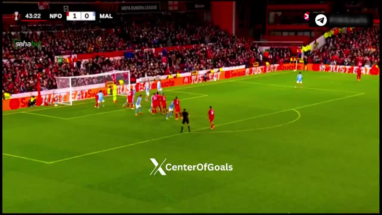 zaslepka skrotu video