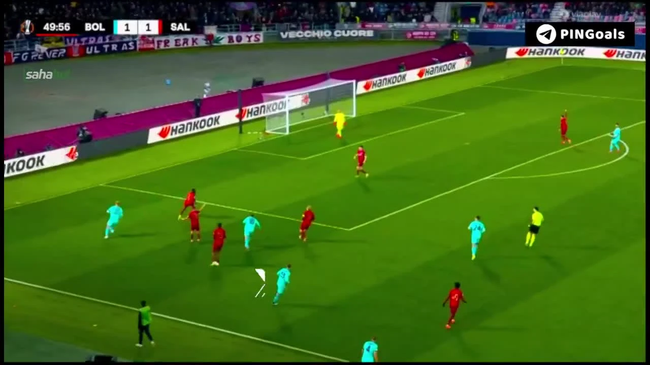 zaslepka skrotu video