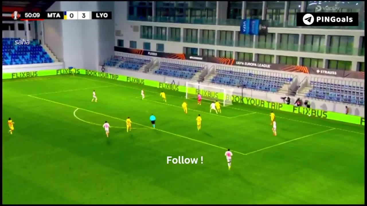 zaslepka skrotu video