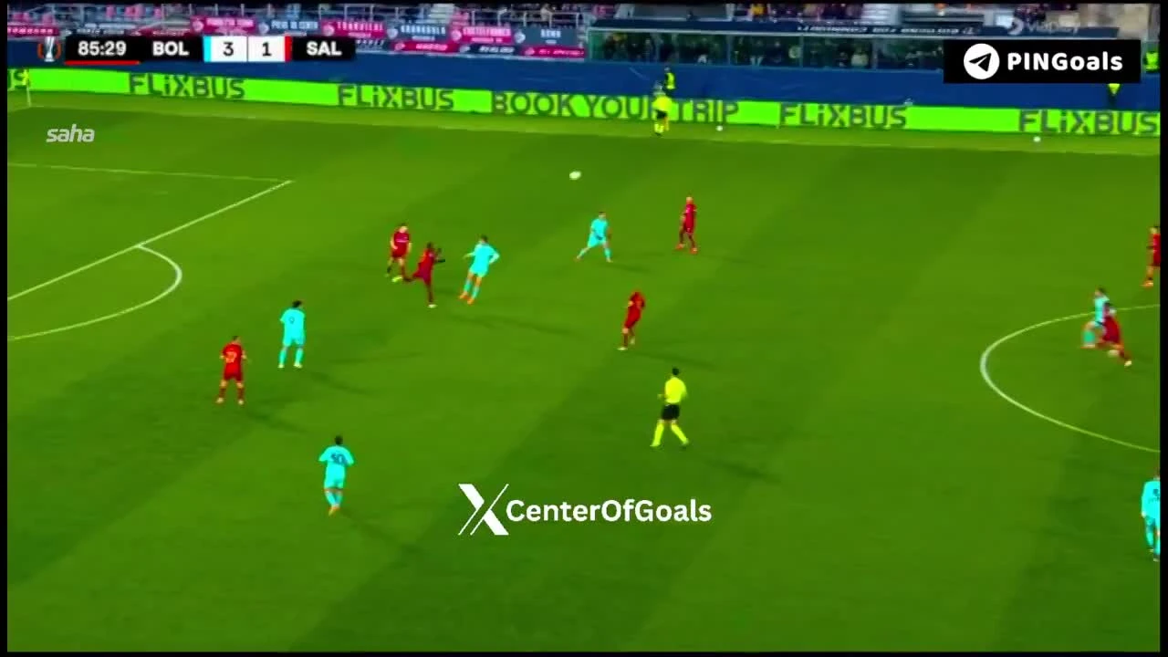 zaslepka skrotu video