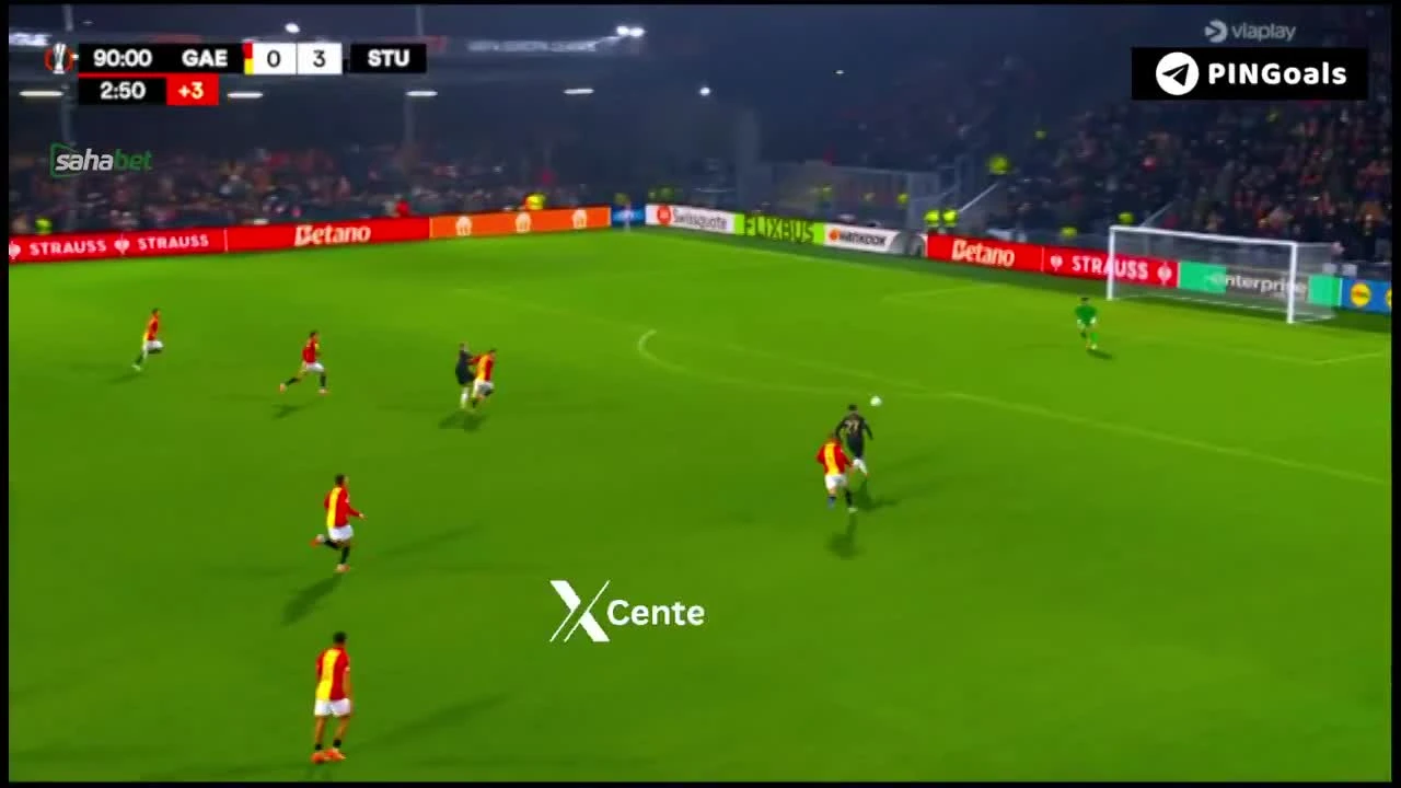 zaslepka skrotu video