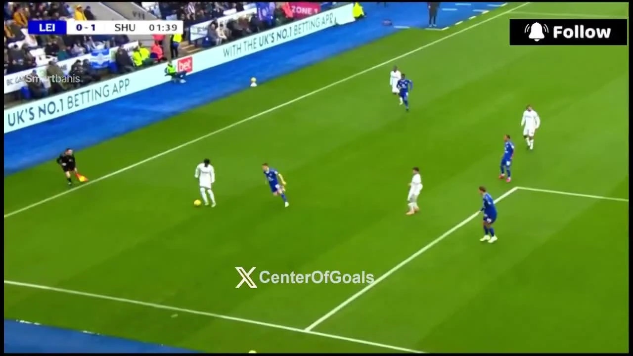 zaslepka skrotu video