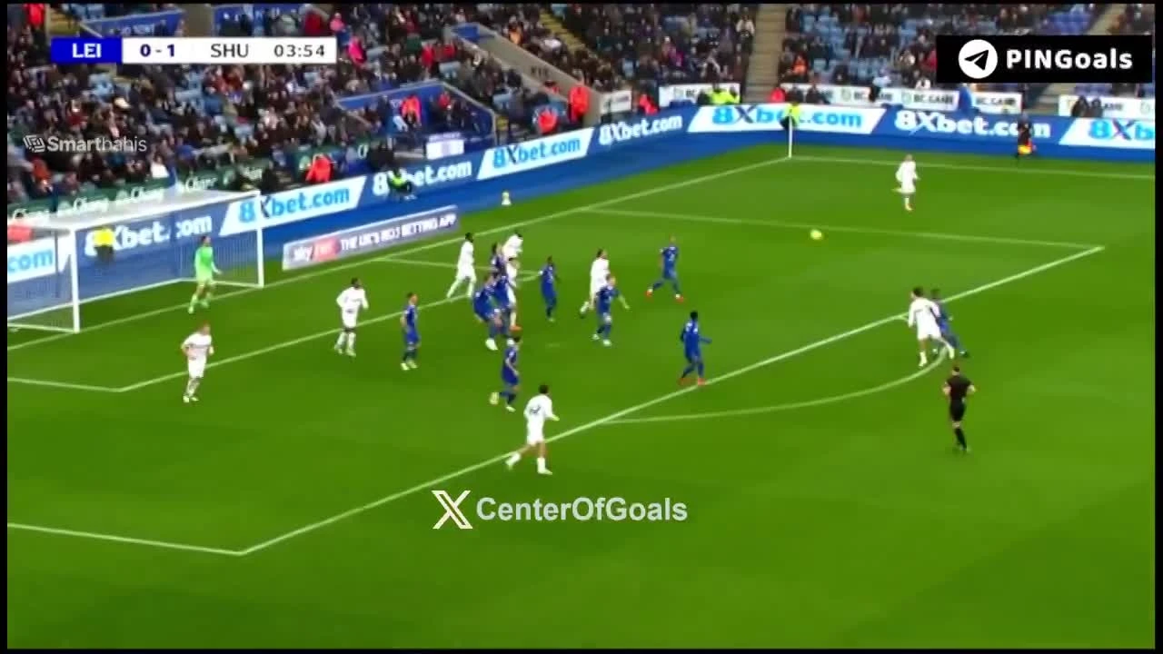 zaslepka skrotu video