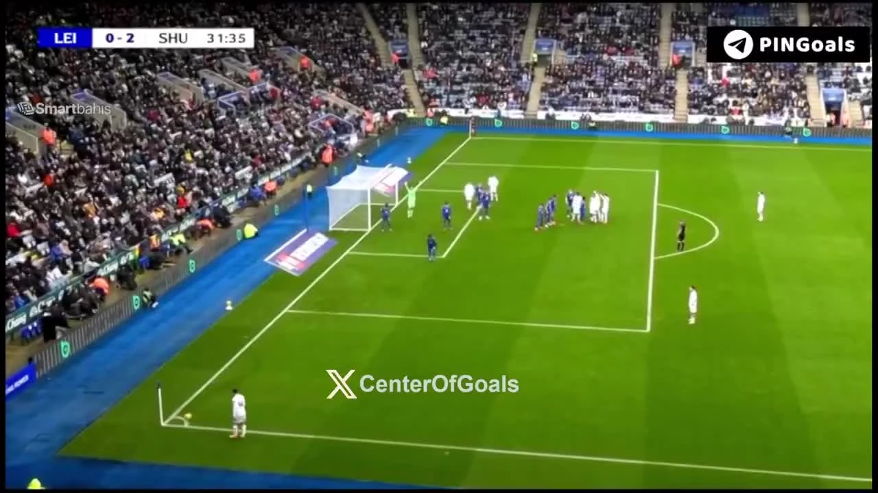 zaslepka skrotu video