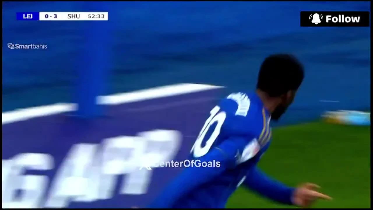 zaslepka skrotu video