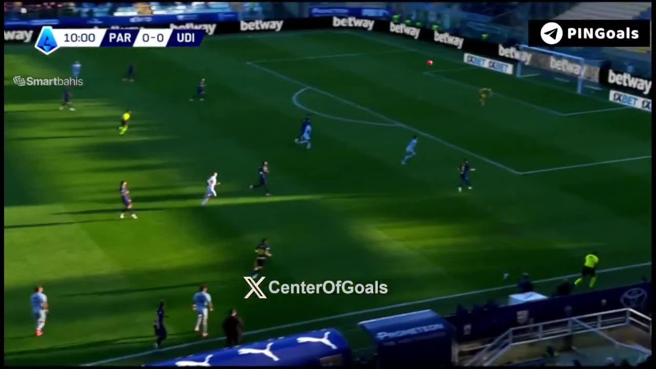 zaslepka skrotu video