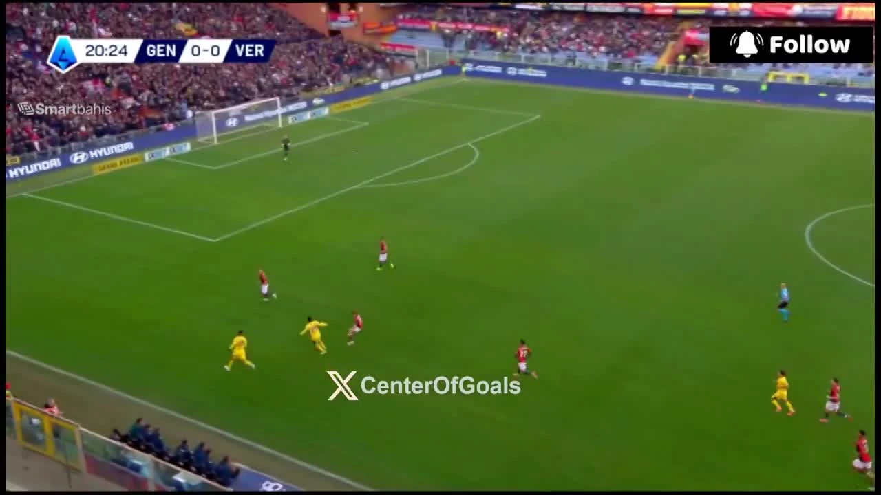 zaslepka skrotu video