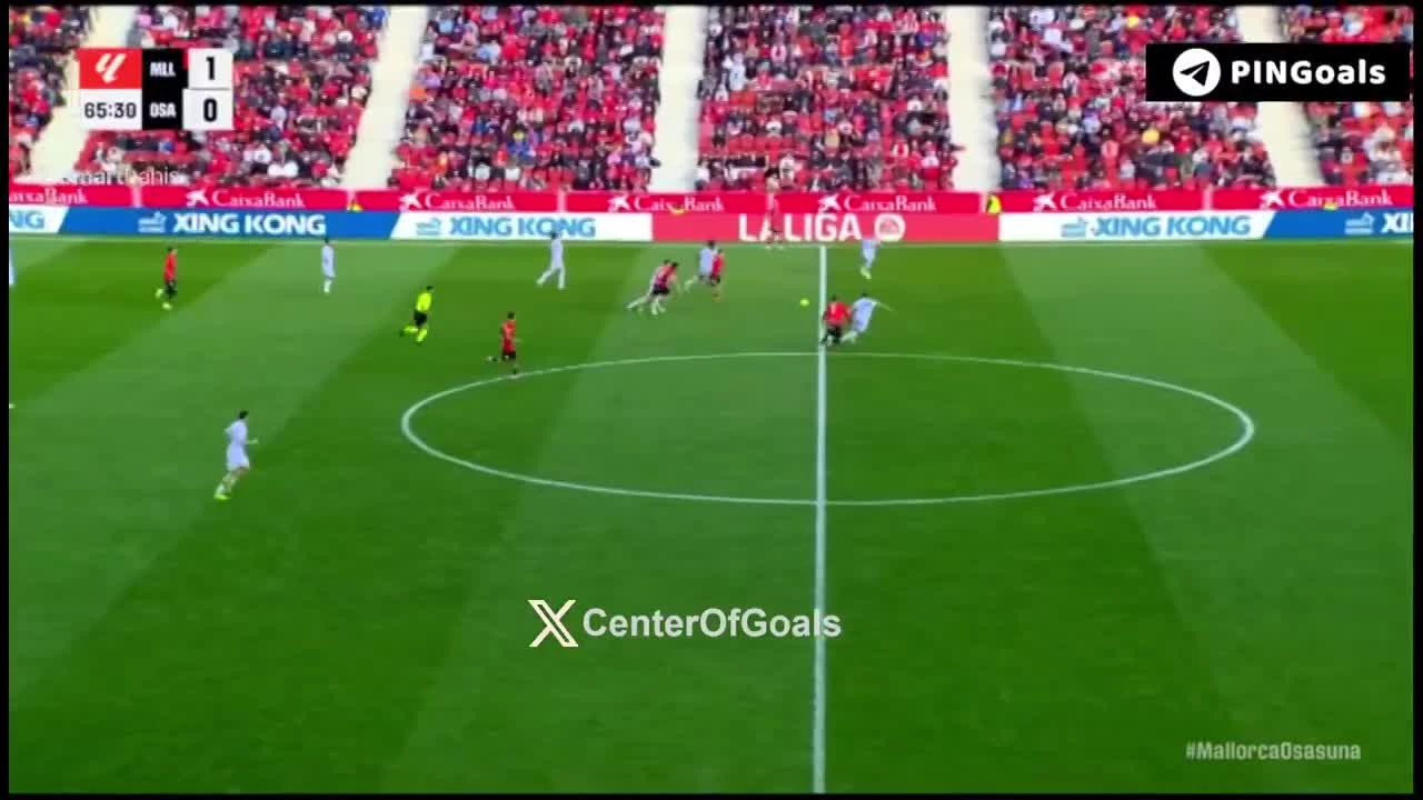 zaslepka skrotu video