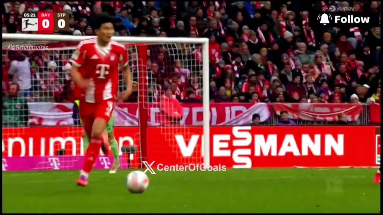 zaslepka skrotu video