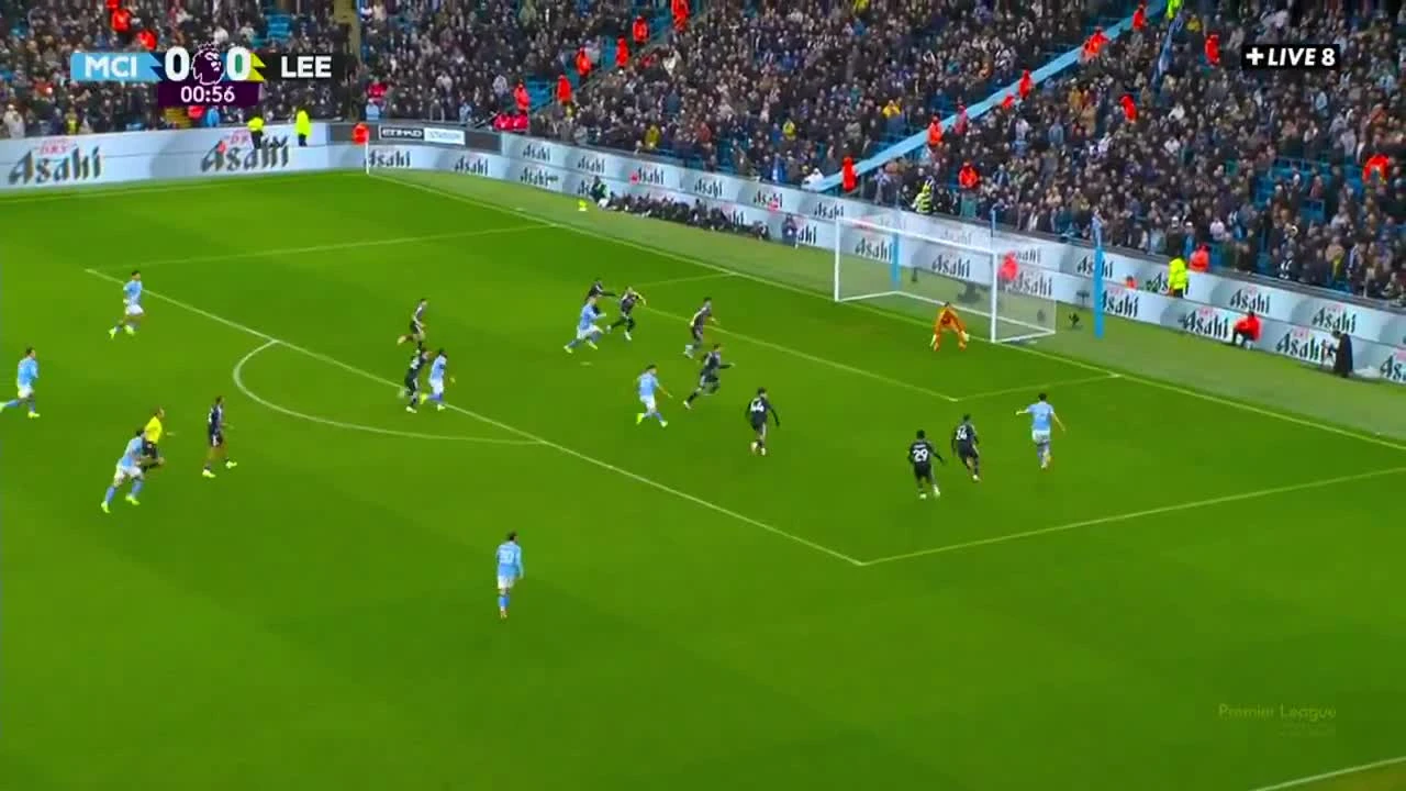 zaslepka skrotu video