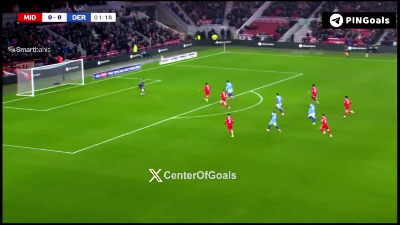 zaslepka skrotu video