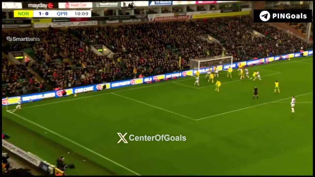 zaslepka skrotu video