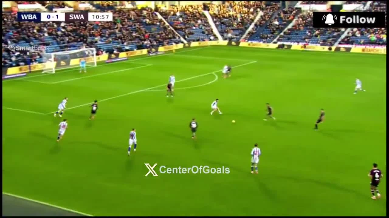 zaslepka skrotu video