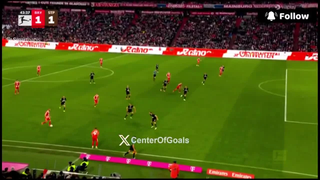 zaslepka skrotu video