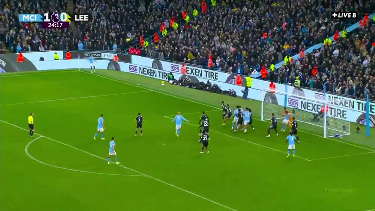 zaslepka skrotu video