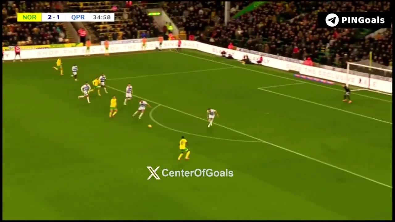 zaslepka skrotu video